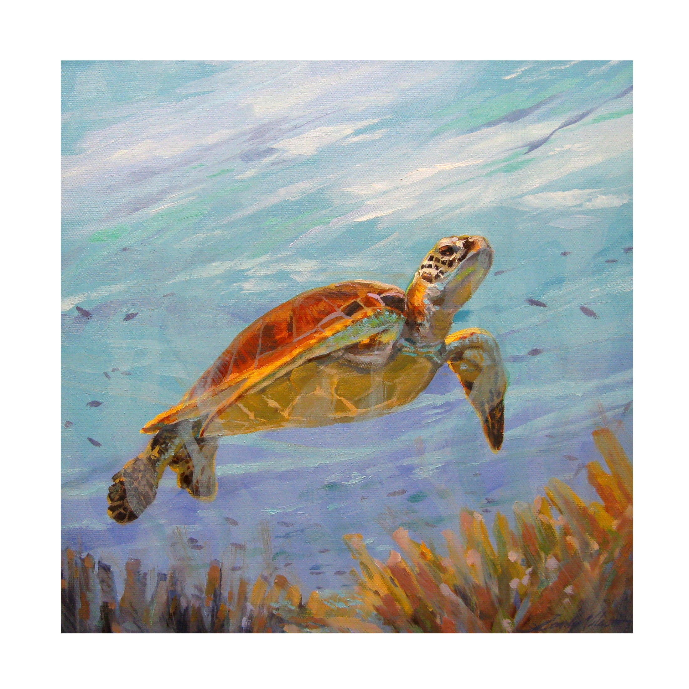 Canvas Wall Art - Sandy Nelson 'Seeking The Sun' Wall Art for Living Room, Bedroom, or Office Décor by Trademark Fine Art - 18 x 18 Inches