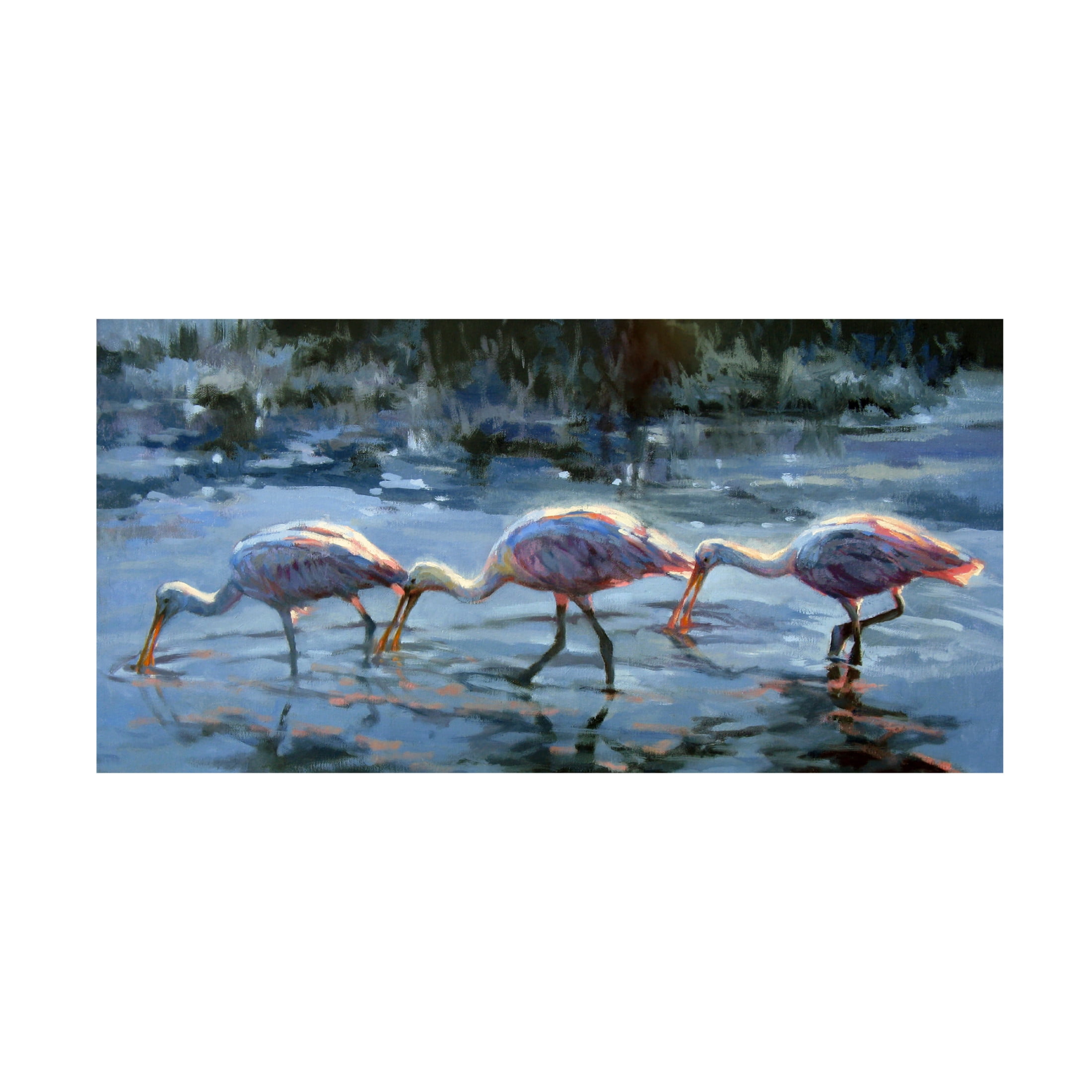 Canvas Wall Art - Sandy Nelson 'Spoonbill Late Feeding' Wall Art for Living Room, Bedroom, or Office Décor by Trademark Fine Art - 24 x 12 Inches