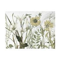 Canvas Wall Art - Sasha 'All Dressed Up I' Wall Art for Living Room, Bedroom, or Office Décor by Trademark Fine Art - 19 x 14 Inches