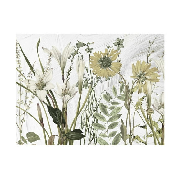 Canvas Wall Art - Sasha 'All Dressed Up I' Wall Art for Living Room, Bedroom, or Office Décor by Trademark Fine Art - 19 x 14 Inches