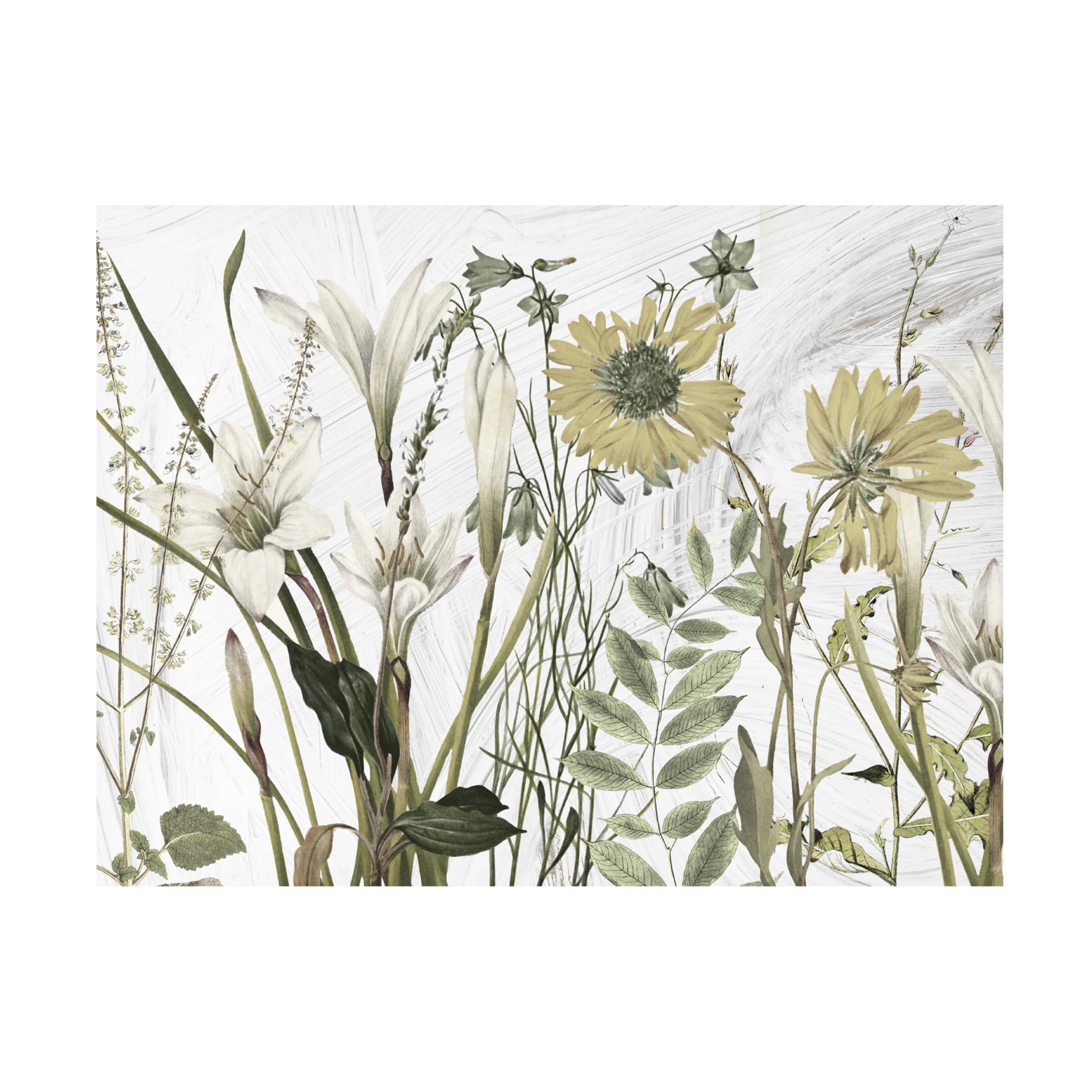 Canvas Wall Art - Sasha 'All Dressed Up I' Wall Art for Living Room, Bedroom, or Office Décor by Trademark Fine Art - 24 x 18 Inches