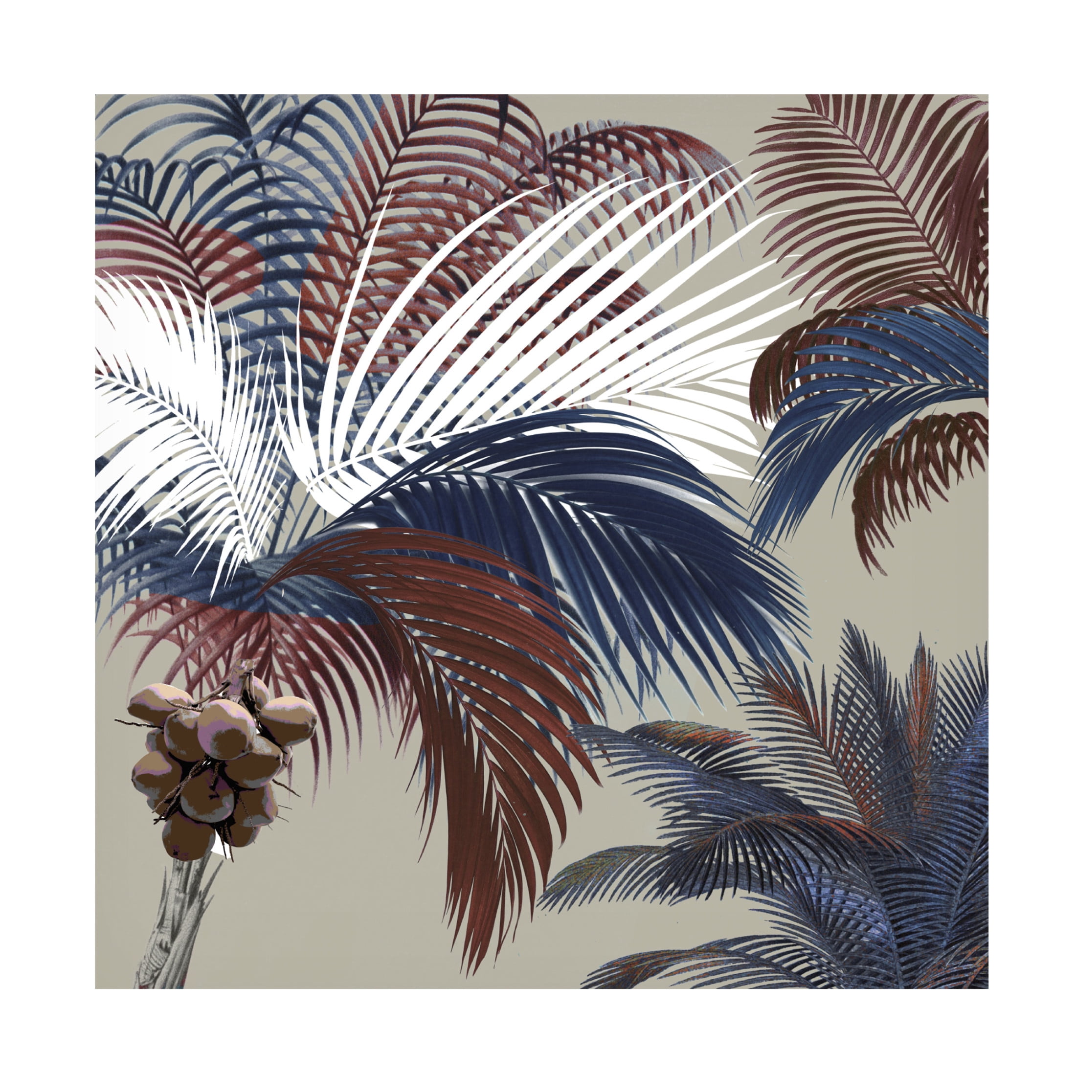 Canvas Wall Art - Sasha 'American Palm' Wall Art for Living Room, Bedroom, or Office Décor by Trademark Fine Art - 35 x 35 Inches