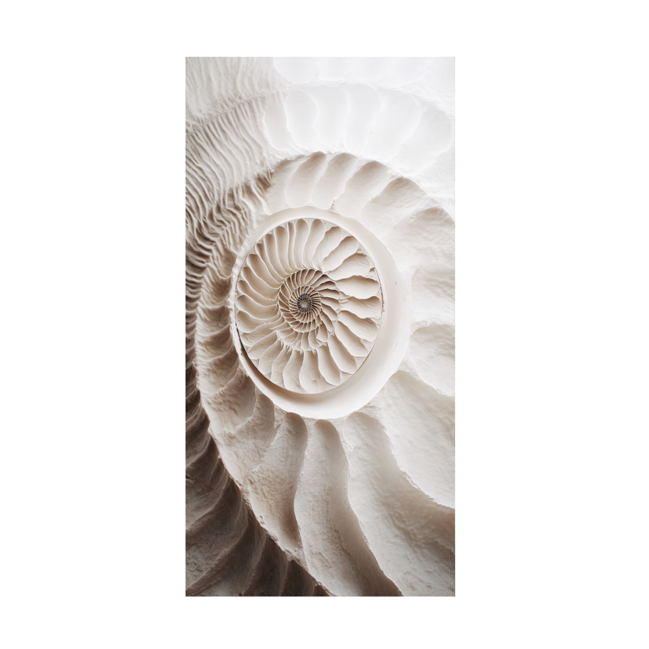Canvas Wall Art - Sasha 'Ammonite' Wall Art for Living Room, Bedroom, or Office Décor by Trademark Fine Art - 10 x 19 Inches
