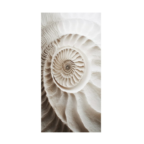 Canvas Wall Art - Sasha 'Ammonite' Wall Art for Living Room, Bedroom, or Office Décor by Trademark Fine Art - 16 x 32 Inches