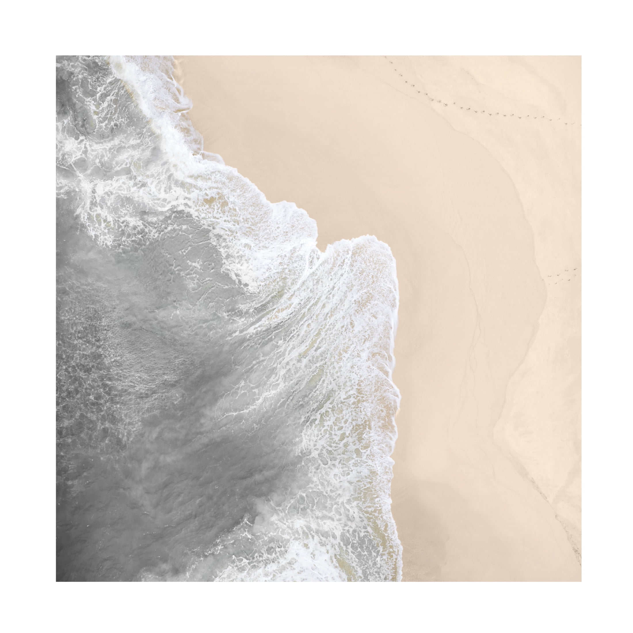 Canvas Wall Art - Sasha 'Apricot Shore' Wall Art for Living Room, Bedroom, or Office Décor by Trademark Fine Art - 35 x 35 Inches