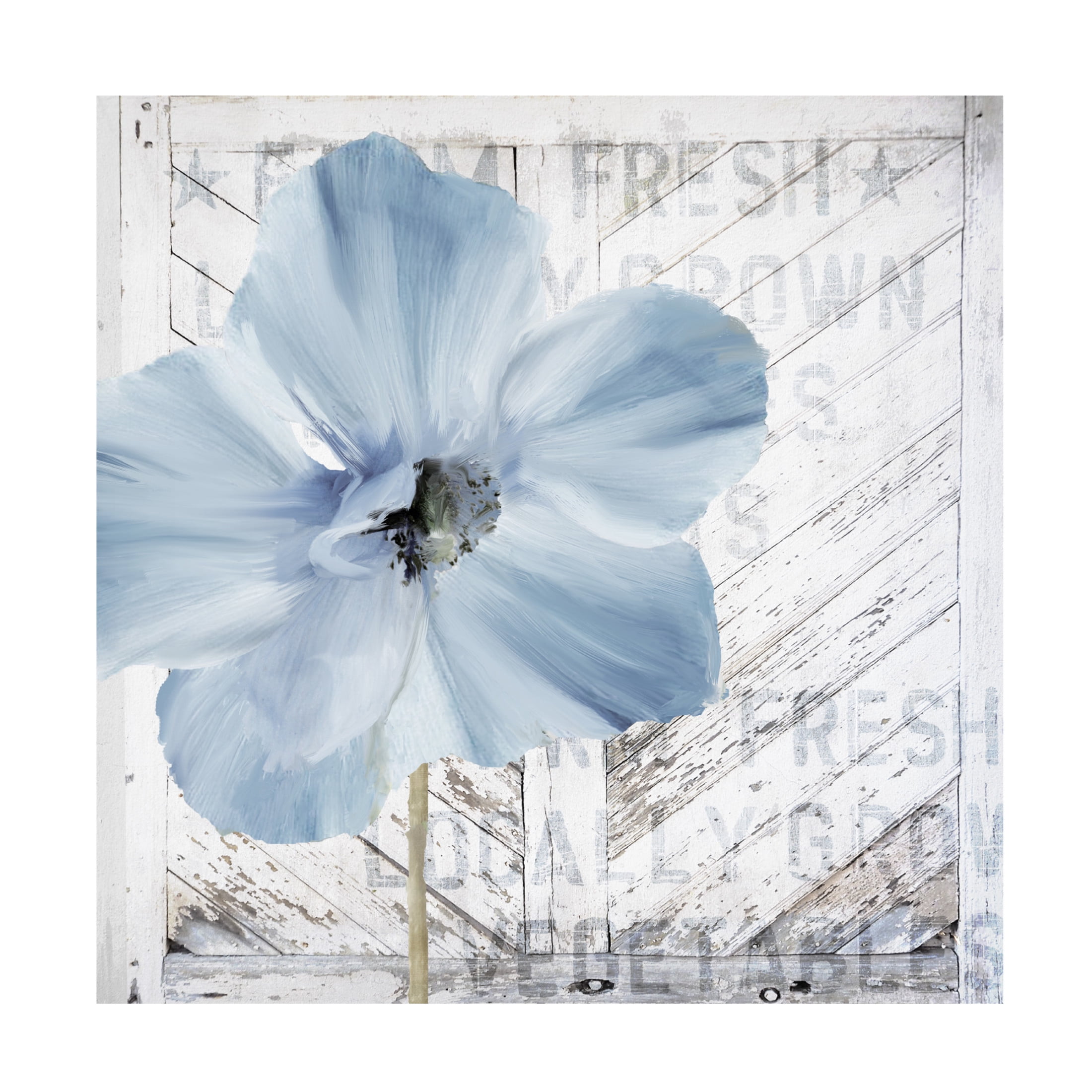 Canvas Wall Art - Sasha 'Barn Poppy Redux' Wall Art for Living Room, Bedroom, or Office Décor by Trademark Fine Art - 14 x 14 Inches
