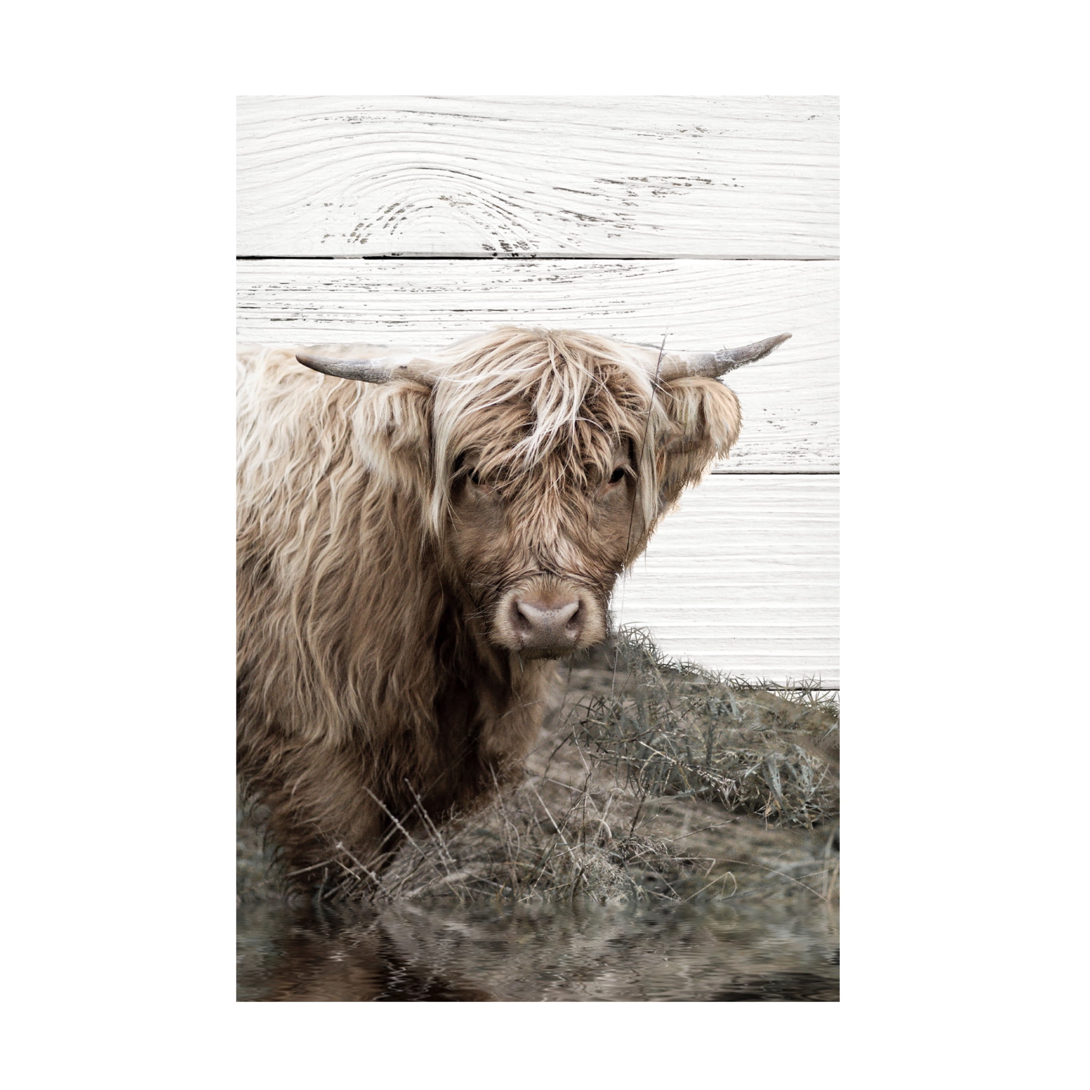 Canvas Wall Art - Sasha 'Barnaby' Wall Art for Living Room, Bedroom, or Office Décor by Trademark Fine Art - 12 x 19 Inches