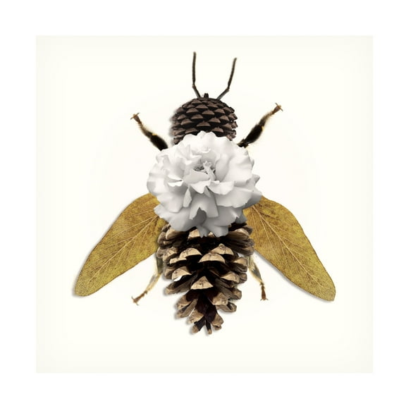 Canvas Wall Art - Sasha 'Bee' Wall Art for Living Room, Bedroom, or Office Décor by Trademark Fine Art - 14 x 14 Inches