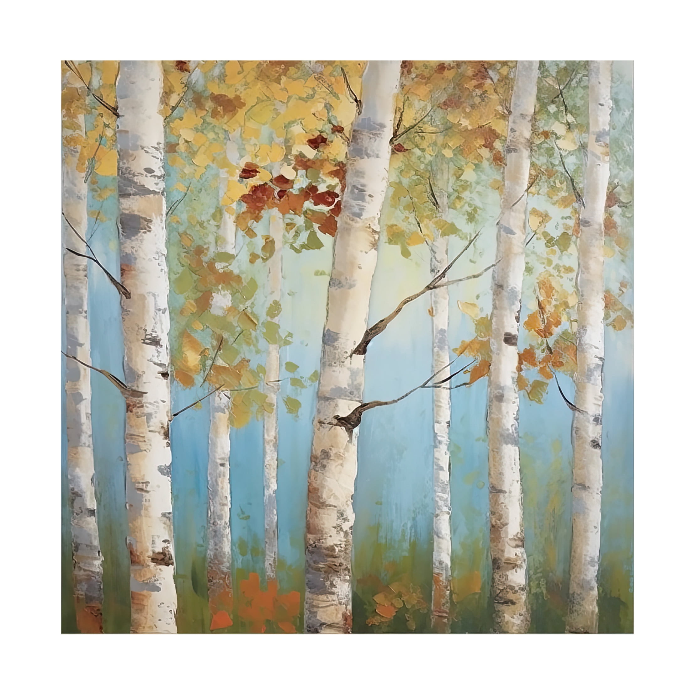 Canvas Wall Art - Sasha 'Birch Forest I' Wall Art for Living Room, Bedroom, or Office Décor by Trademark Fine Art - 24 x 24 Inches