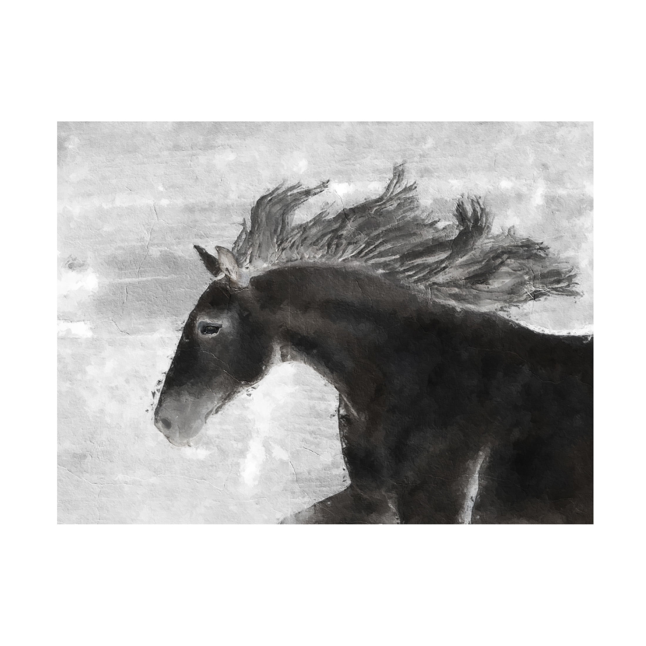 Canvas Wall Art - Sasha 'Black Horse' Wall Art for Living Room, Bedroom, or Office Décor by Trademark Fine Art - 24 x 18 Inches
