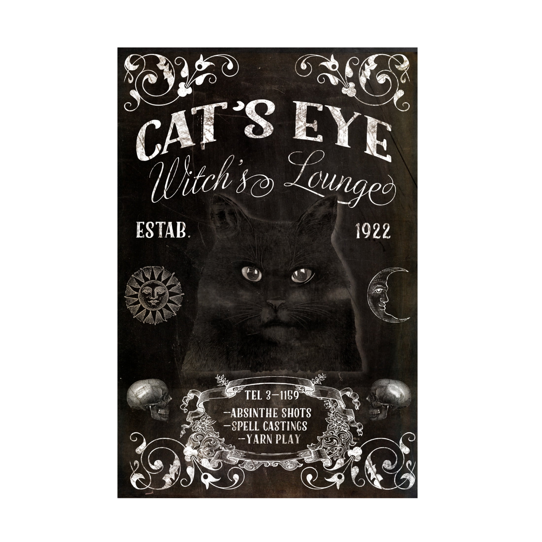 Canvas Wall Art - Sasha 'Cats Eye Lounge' Wall Art for Living Room, Bedroom, or Office Décor by Trademark Fine Art - 22 x 32 Inches
