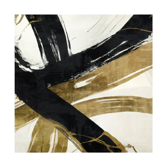 Canvas Wall Art - Sasha 'Chaos Theory' Wall Art for Living Room, Bedroom, or Office Décor by Trademark Fine Art - 14 x 14 Inches