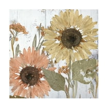 Canvas Wall Art - Sasha 'Earth to Petals I' Wall Art for Living Room, Bedroom, or Office Décor by Trademark Fine Art - 14 x 14 Inches