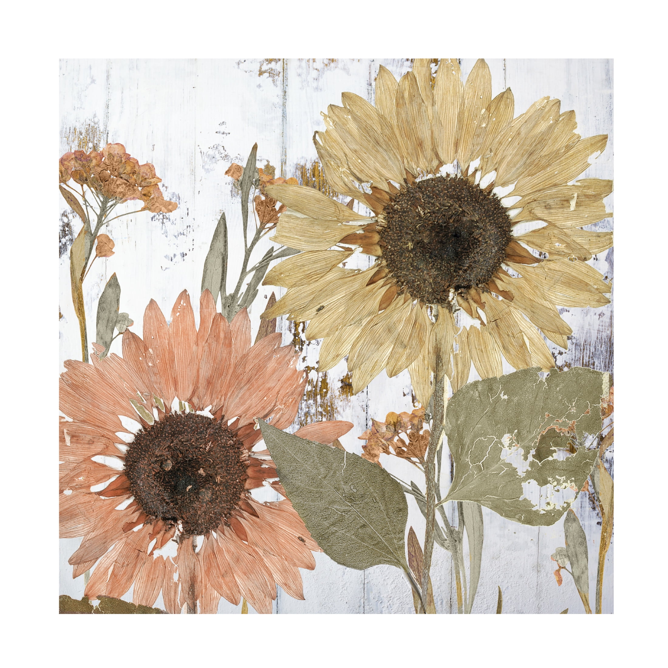 Canvas Wall Art - Sasha 'Earth to Petals I' Wall Art for Living Room, Bedroom, or Office Décor by Trademark Fine Art - 35 x 35 Inches
