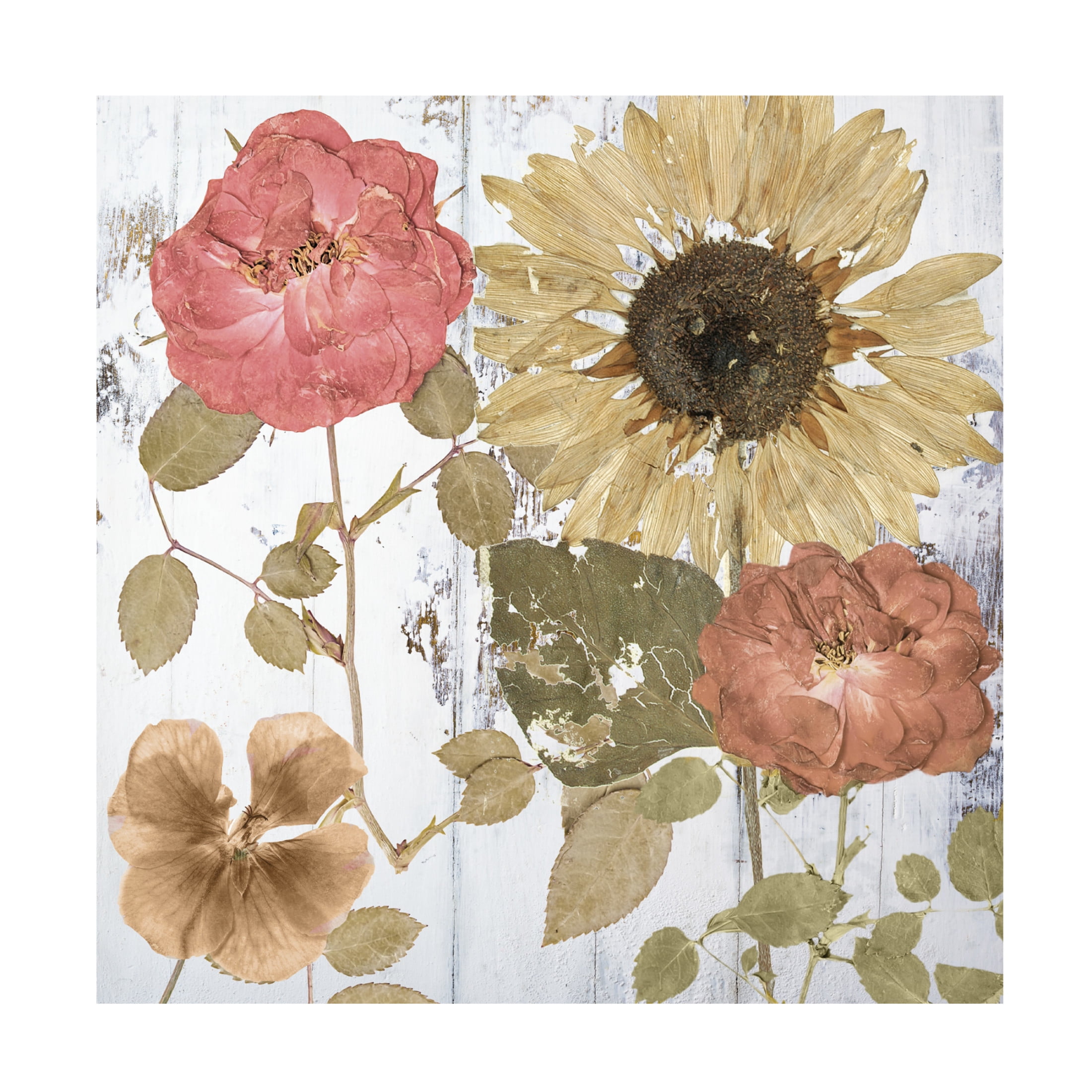 Canvas Wall Art - Sasha 'Earth to Petals II' Wall Art for Living Room, Bedroom, or Office Décor by Trademark Fine Art - 24 x 24 Inches