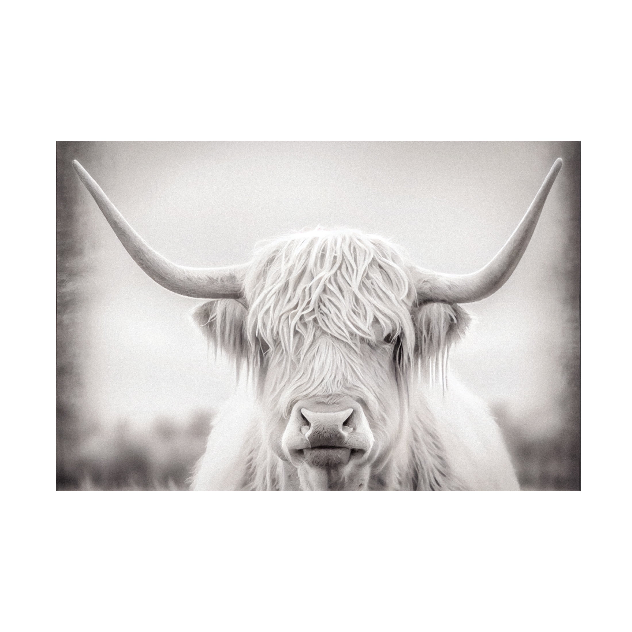 Canvas Wall Art - Sasha 'Heathcliff' Wall Art for Living Room, Bedroom, or Office Décor by Trademark Fine Art - 47 x 30 Inches