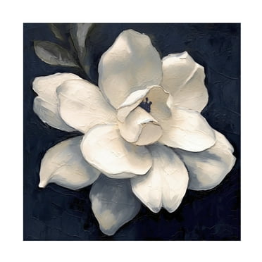 Canvas Wall Art - Sasha 'Night Magnolia' Wall Art for Living Room, Bedroom, or Office DÃ©cor by Trademark Fine Art - 14 x 14 Inches