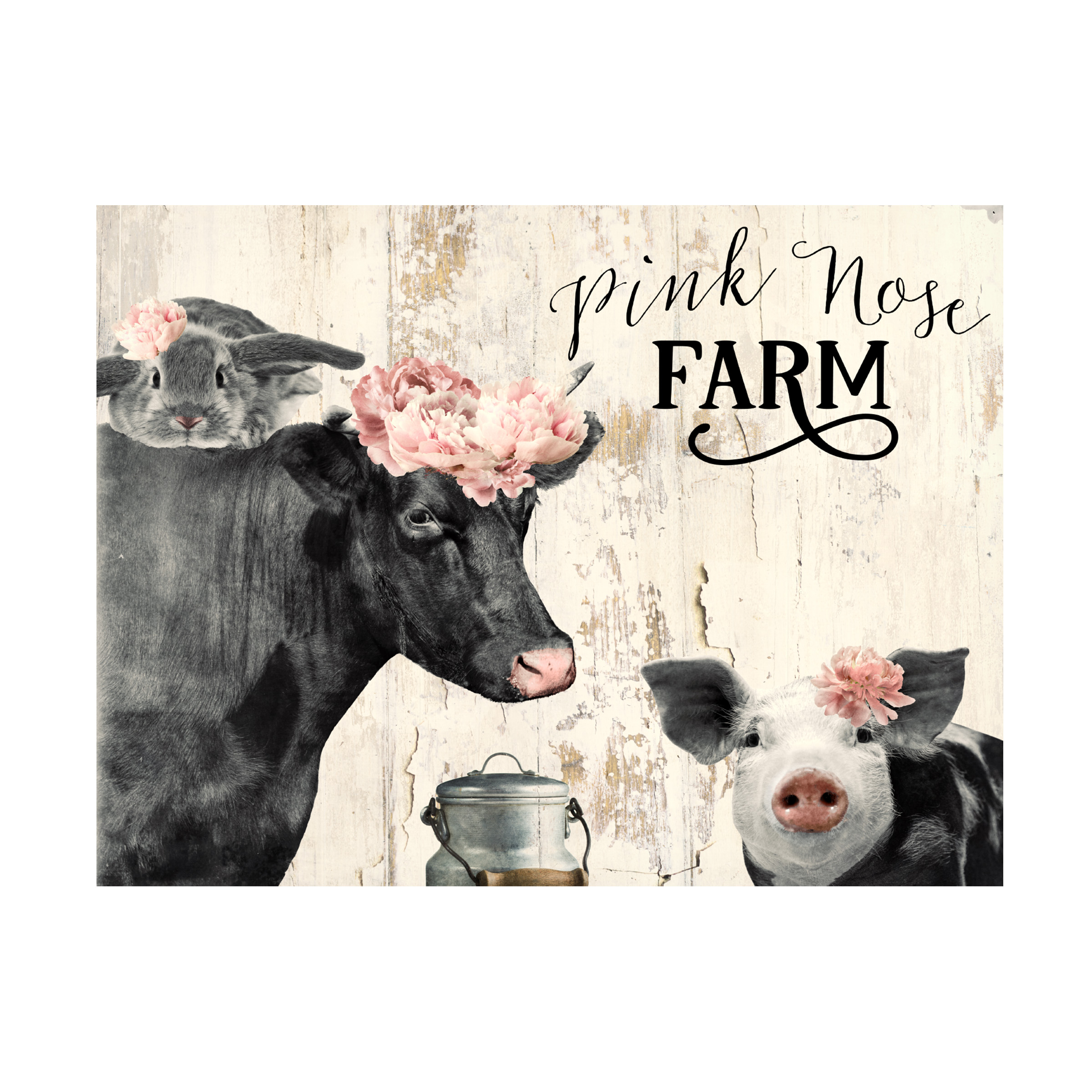Canvas Wall Art - Sasha 'Pink Nose Farm I' Wall Art for Living Room, Bedroom, or Office DÃ©cor by Trademark Fine Art - 24 x 18 Inches