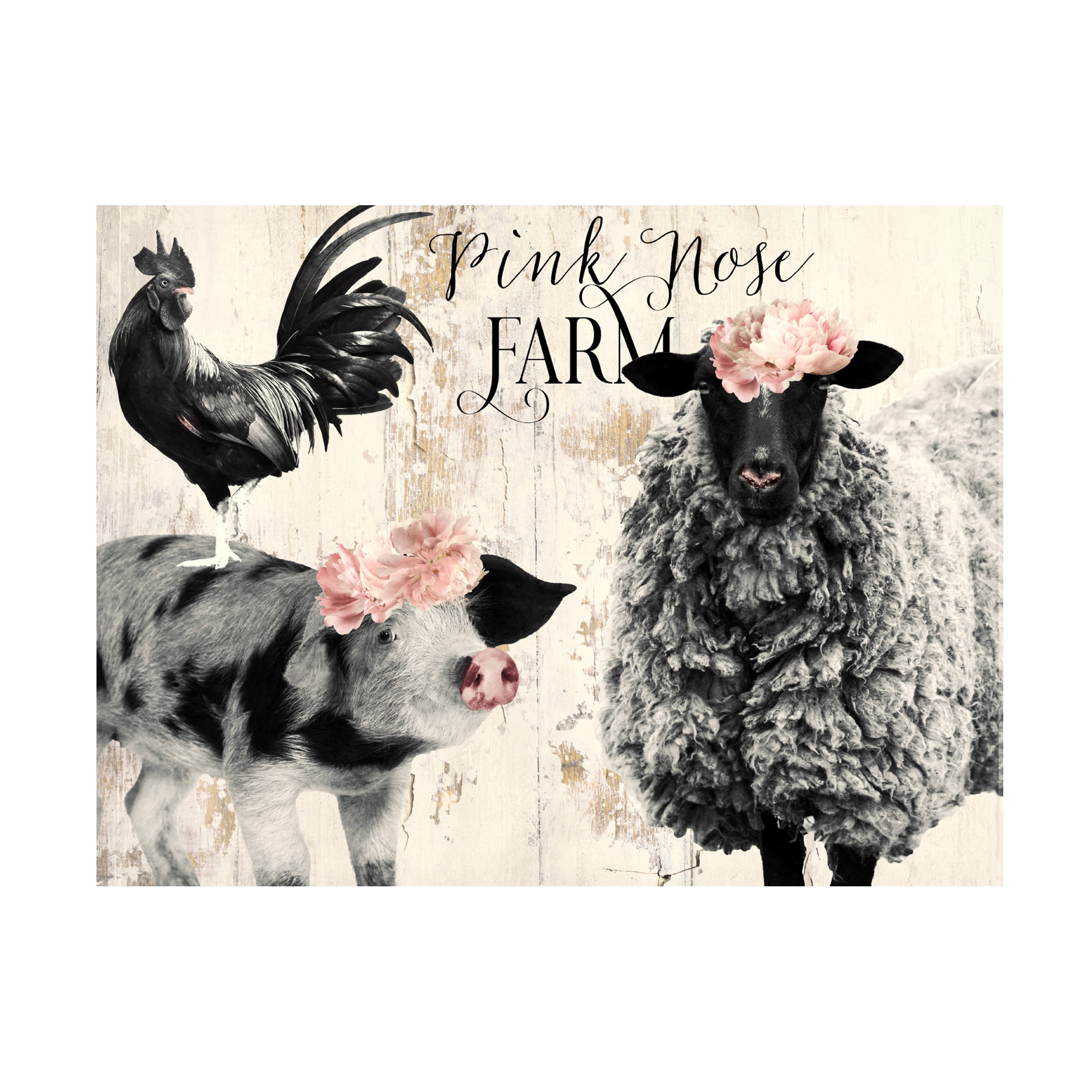 Canvas Wall Art - Sasha 'Pink Nose Farm II' Wall Art for Living Room, Bedroom, or Office DÃ©cor by Trademark Fine Art - 19 x 14 Inches