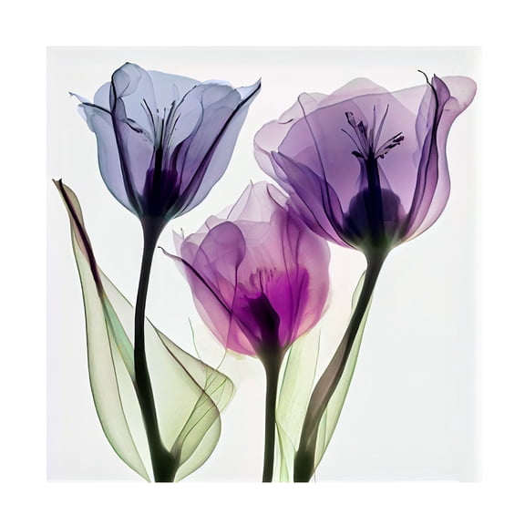 Canvas Wall Art - Sasha 'Power of Three' Wall Art for Living Room, Bedroom, or Office Décor by Trademark Fine Art - 18 x 18 Inches