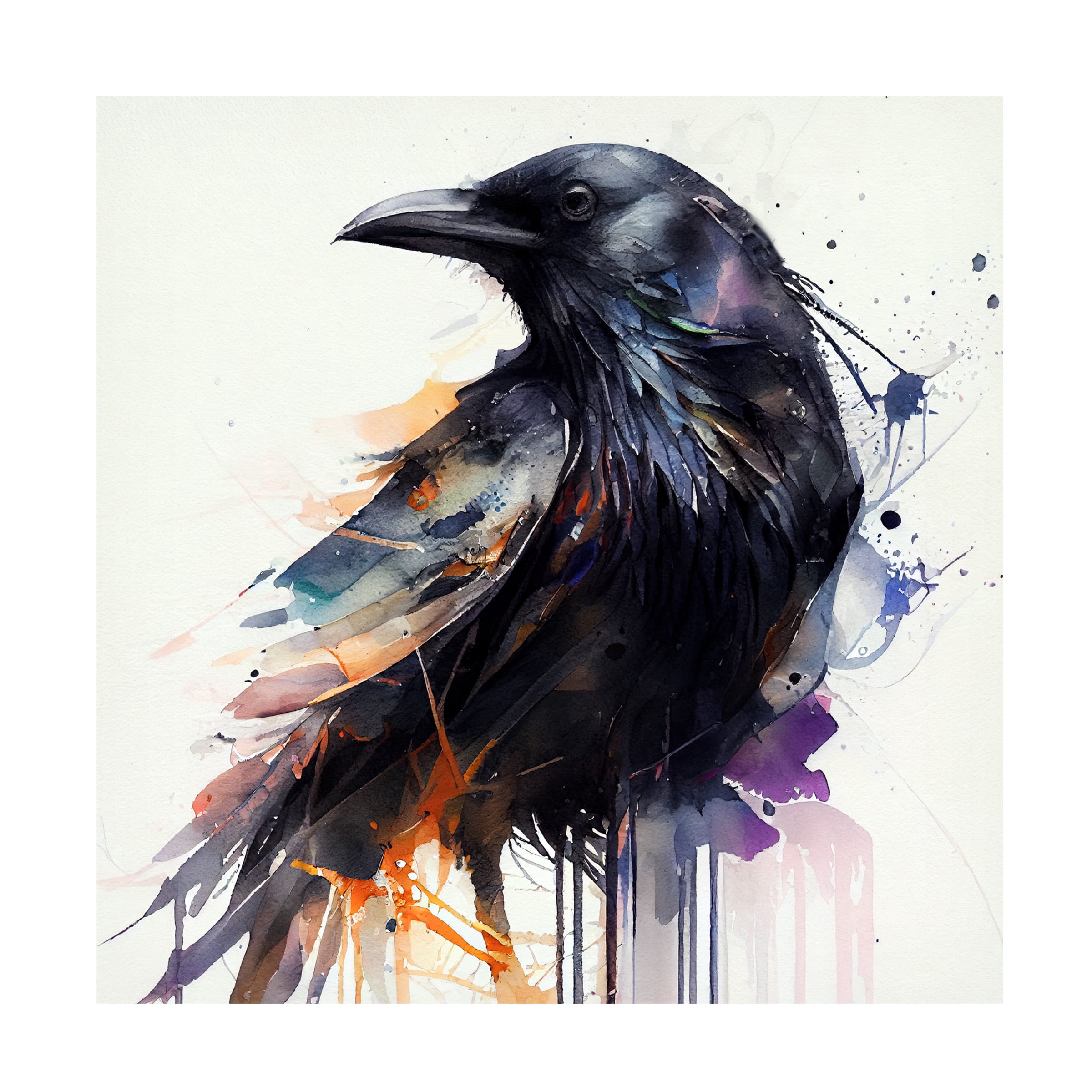 Canvas Wall Art - Sasha 'The Crow' Wall Art for Living Room, Bedroom, or Office Décor by Trademark Fine Art - 18 x 18 Inches