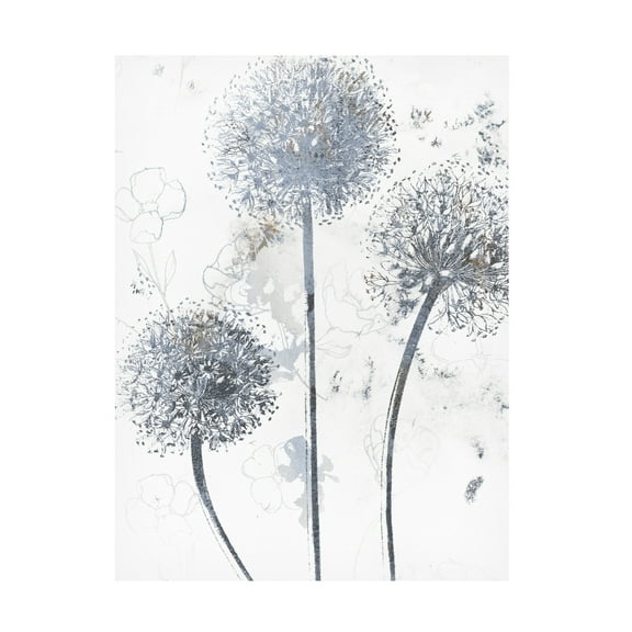 Canvas Wall Art - Sasha 'Wedgewood Allium' Wall Art for Living Room, Bedroom, or Office Décor by Trademark Fine Art - 14 x 19 Inches