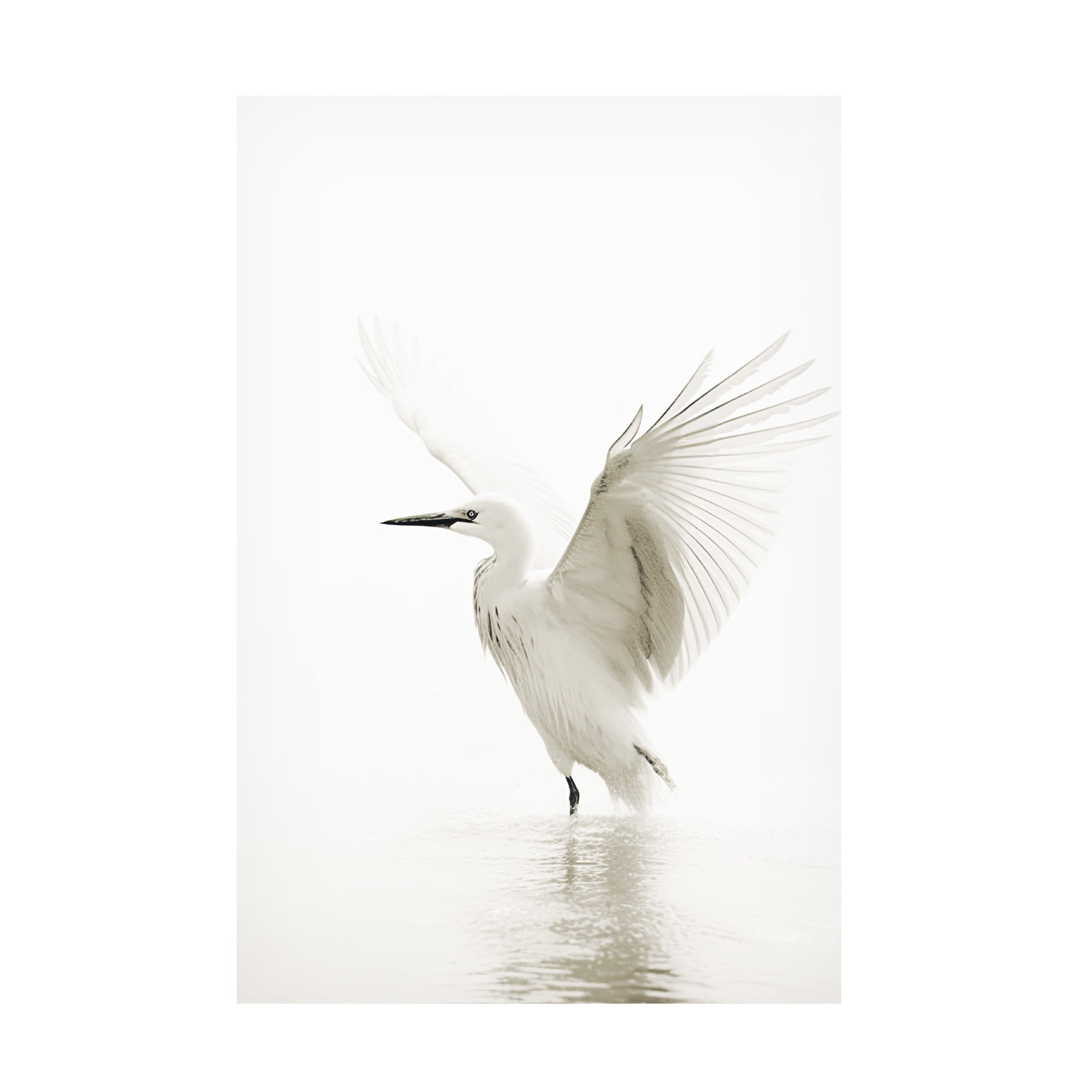 Canvas Wall Art - Sasha 'White Bird' Wall Art for Living Room, Bedroom, or Office Décor by Trademark Fine Art - 16 x 24 Inches