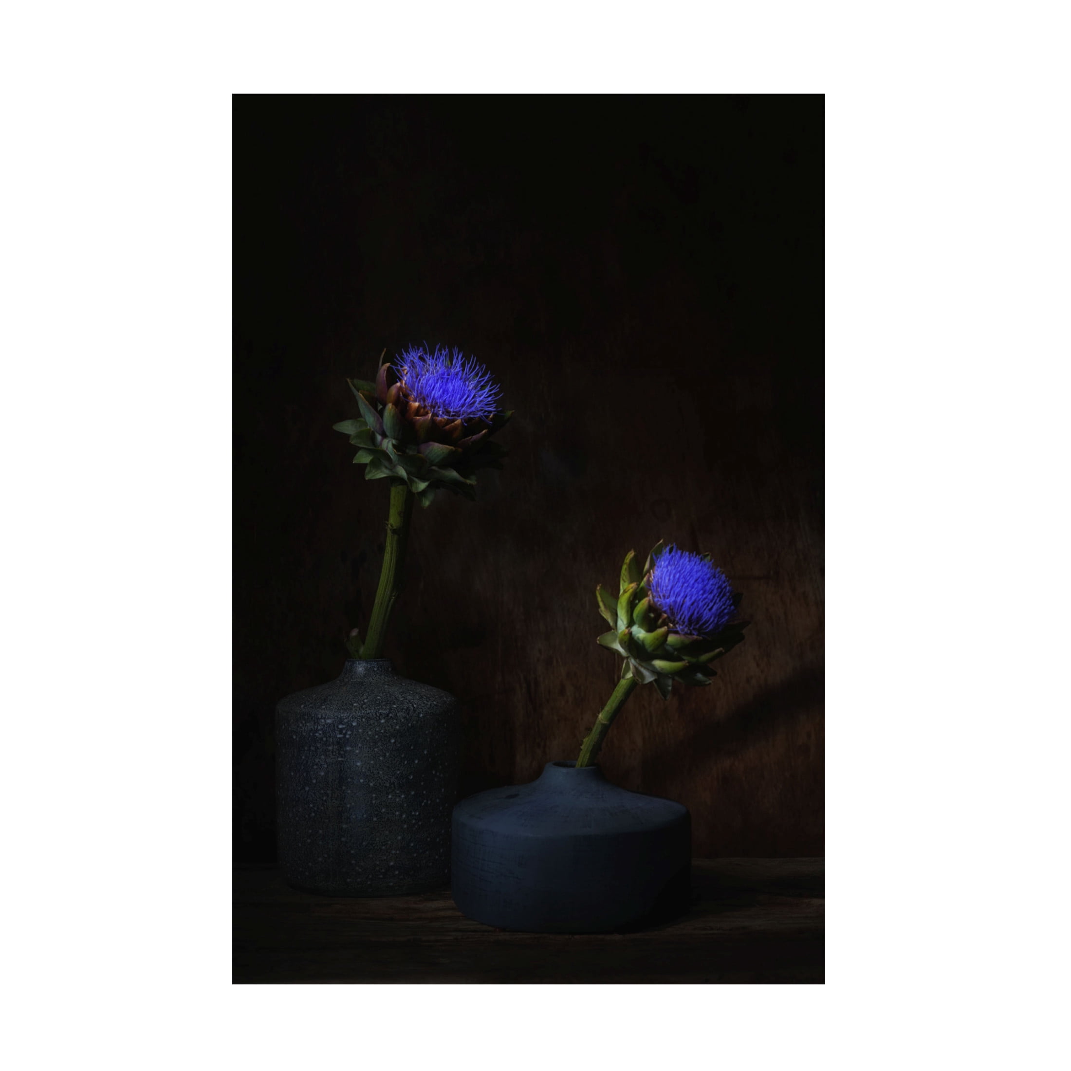 Canvas Wall Art - Saskia Dingemans 'Electric Blue ' Wall Art for Living Room, Bedroom, or Office Décor by Trademark Fine Art - 16 x 24 Inches