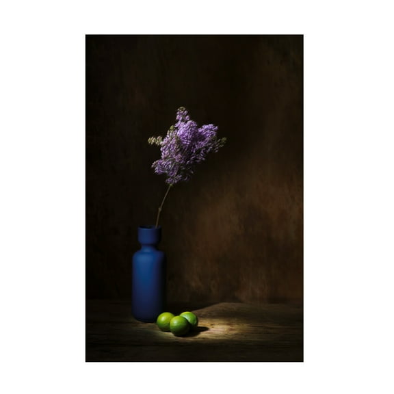Canvas Wall Art - Saskia Dingemans 'Springtime' Wall Art for Living Room, Bedroom, or Office Décor by Trademark Fine Art - 12 x 19 Inches