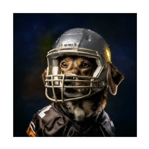 Canvas Wall Art - Sean Parnell 'Football 6' Wall Art for Living Room, Bedroom, or Office Décor by Trademark Fine Art - 18 x 18 Inches