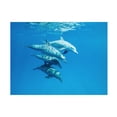 thumbnail image 1 of Canvas Wall Art - Serge Melesan 'Familly' Wall Art for Living Room, Bedroom, or Office Décor by Trademark Fine Art - 19 x 14 Inches, 1 of 4