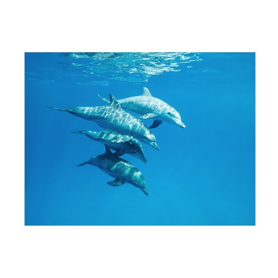 Canvas Wall Art - Serge Melesan 'Familly' Wall Art for Living Room, Bedroom, or Office Décor by Trademark Fine Art - 19 x 14 Inches