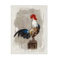 thumbnail image 1 of Canvas Wall Art - Shanda Louis 'Cock-a-doodle-do' Wall Art for Living Room, Bedroom, or Office Décor by Trademark Fine Art - 14 x 19 Inches, 1 of 4