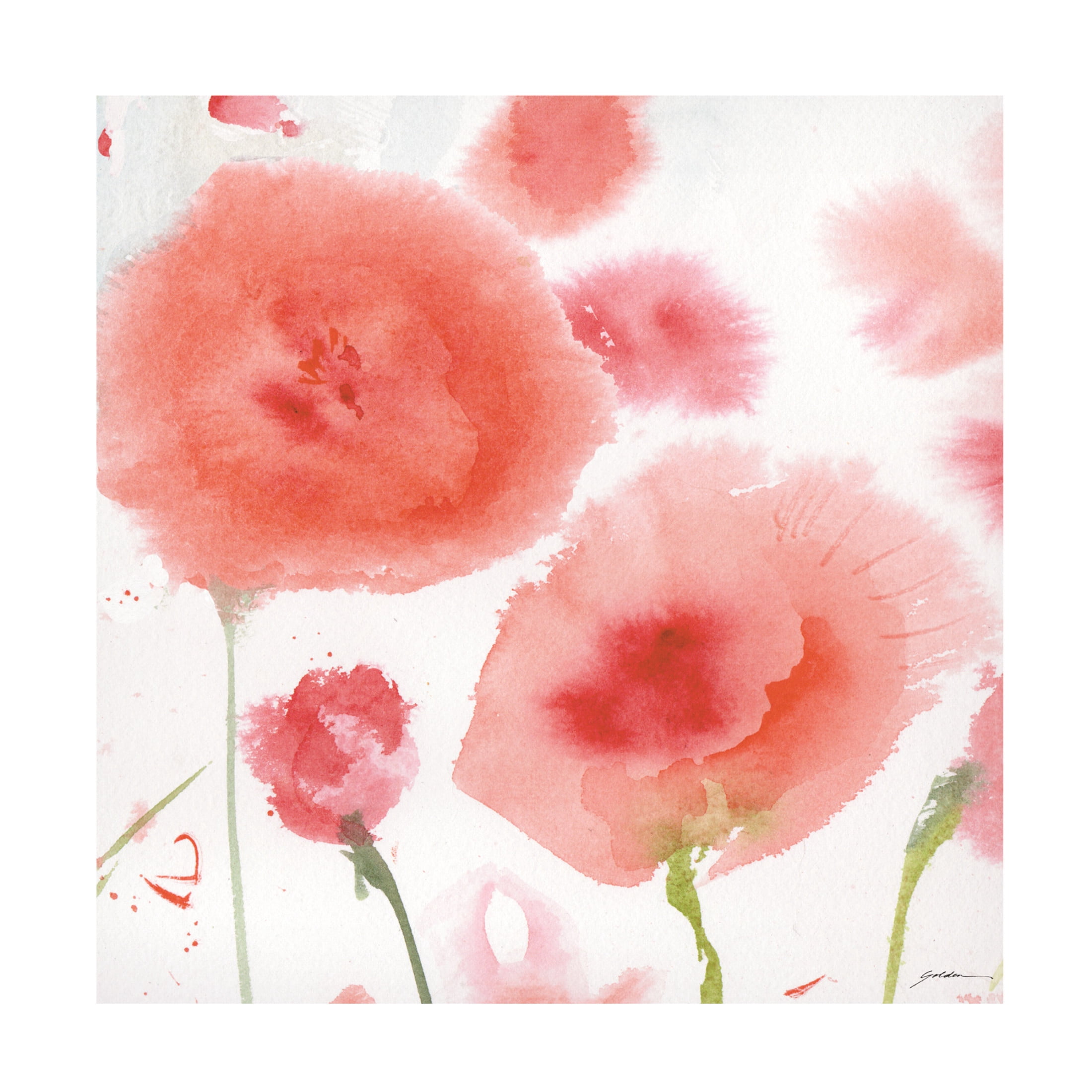 Canvas Wall Art - Sheila Golden 'Salmon Tones' Wall Art for Living Room, Bedroom, or Office Décor by Trademark Fine Art - 35 x 35 Inches