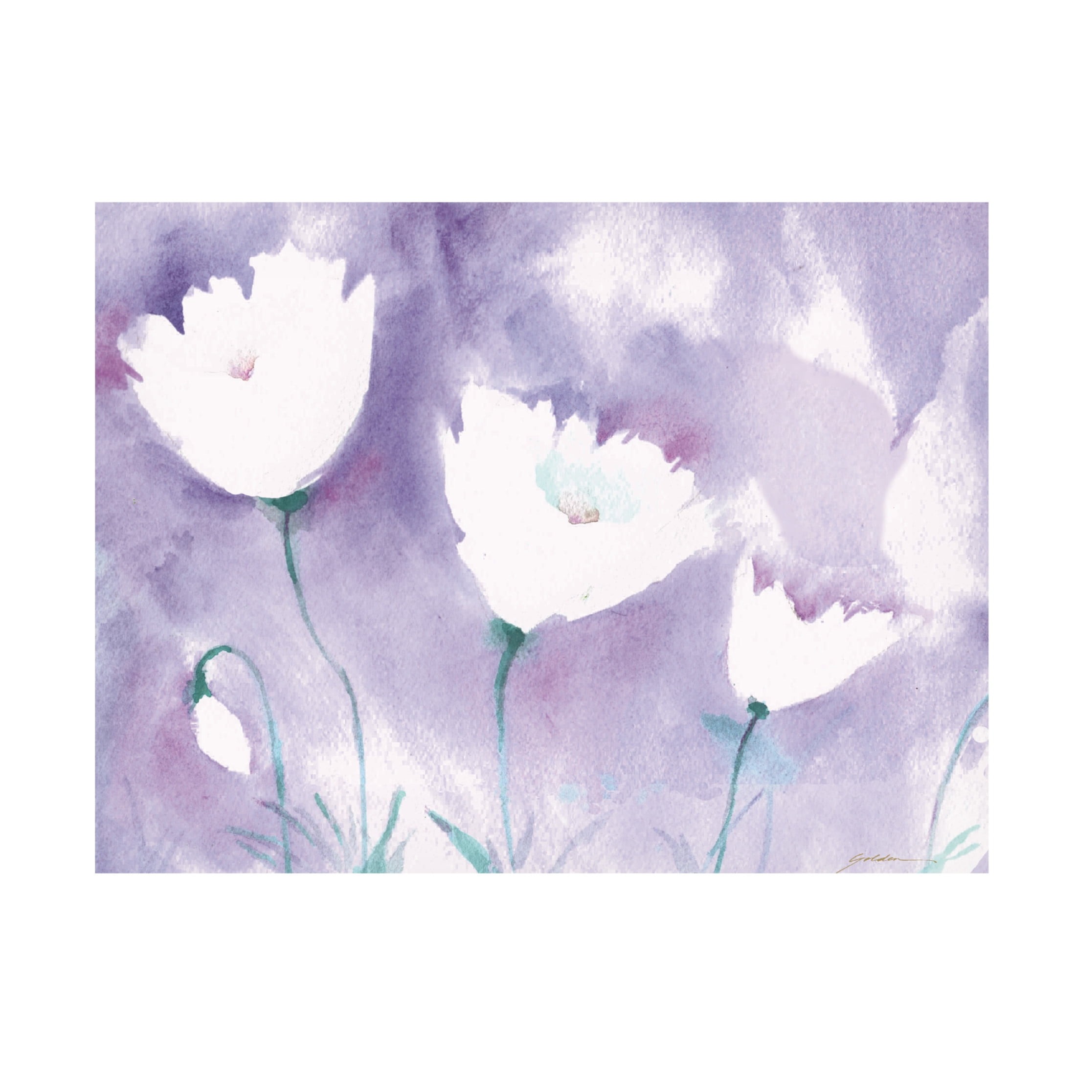 Canvas Wall Art - Sheila Golden 'White Poppy #1' Wall Art for Living Room, Bedroom, or Office Décor by Trademark Fine Art - 32 x 24 Inches