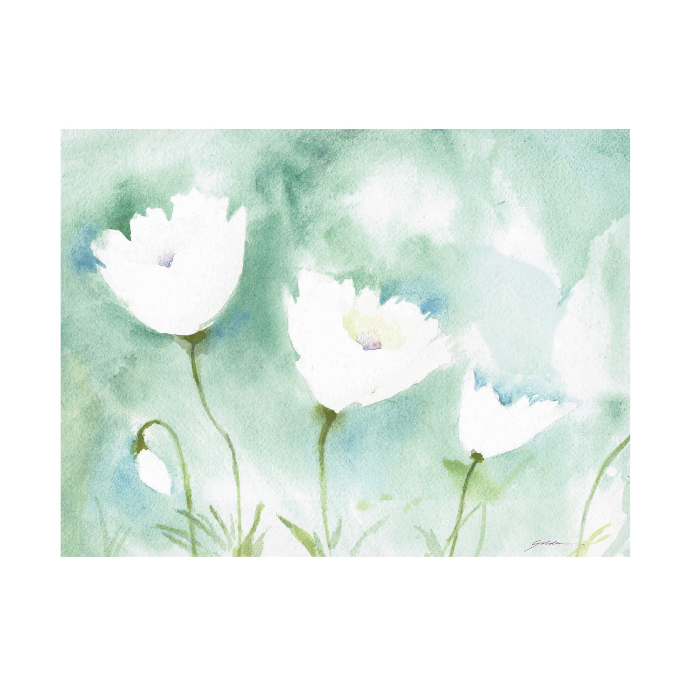 Canvas Wall Art - Sheila Golden 'White Poppy #3' Wall Art for Living Room, Bedroom, or Office Décor by Trademark Fine Art - 24 x 18 Inches
