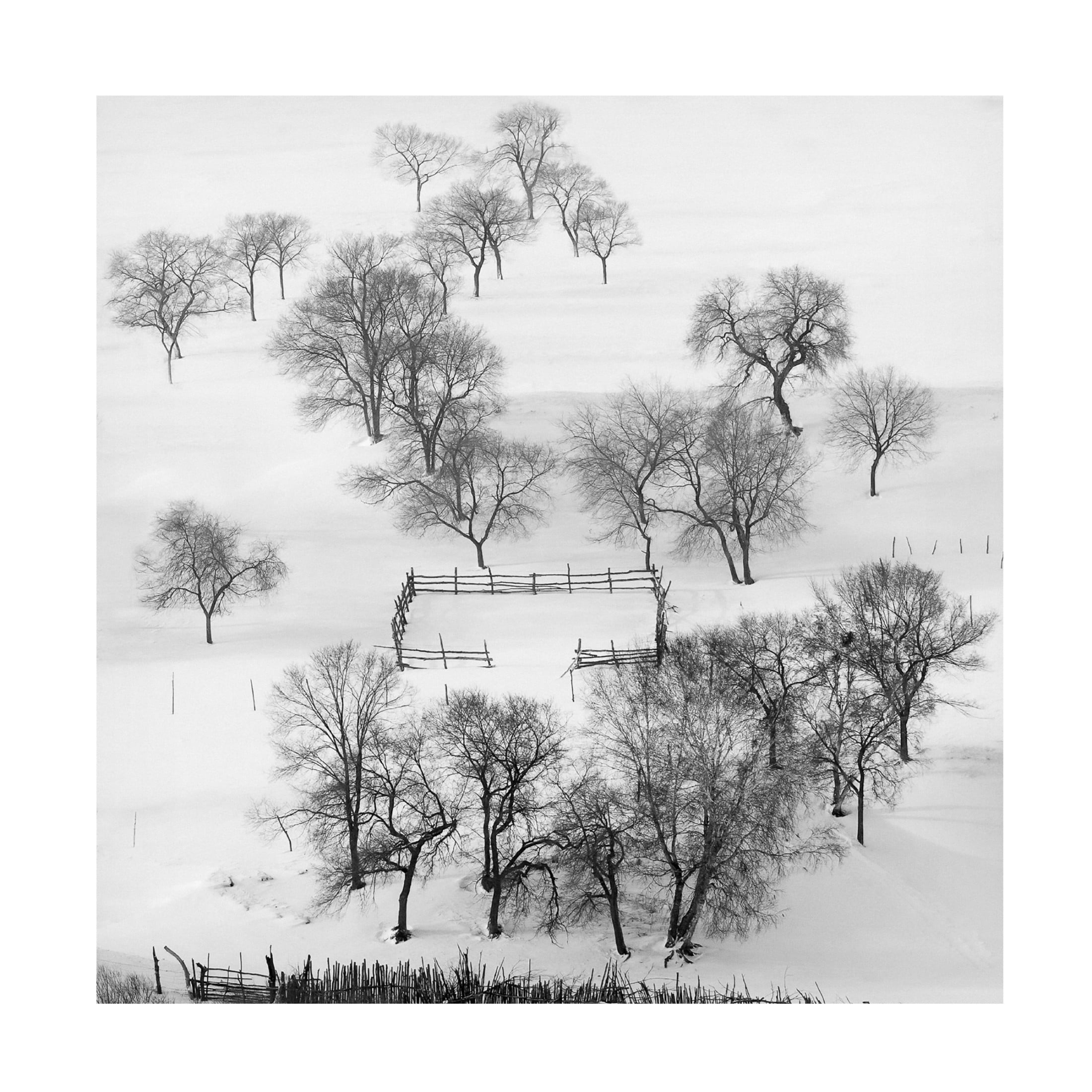 Canvas Wall Art - Shu-Guang Yang 'Black And White World, Quietly Waiting ' Wall Art for Living Room, Bedroom, or Office D?cor by Trademark Fine Art - 24 x 24 Inches