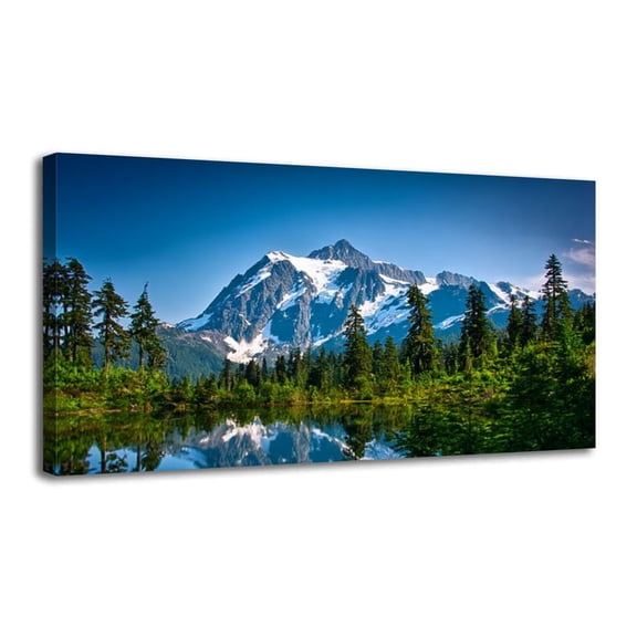 Canvas Wall Art Shuksan Serendipity Wall Decor for Living Room Bathroom Bedroom Office 20" x 40" Art Paintings, Ready to Hang
