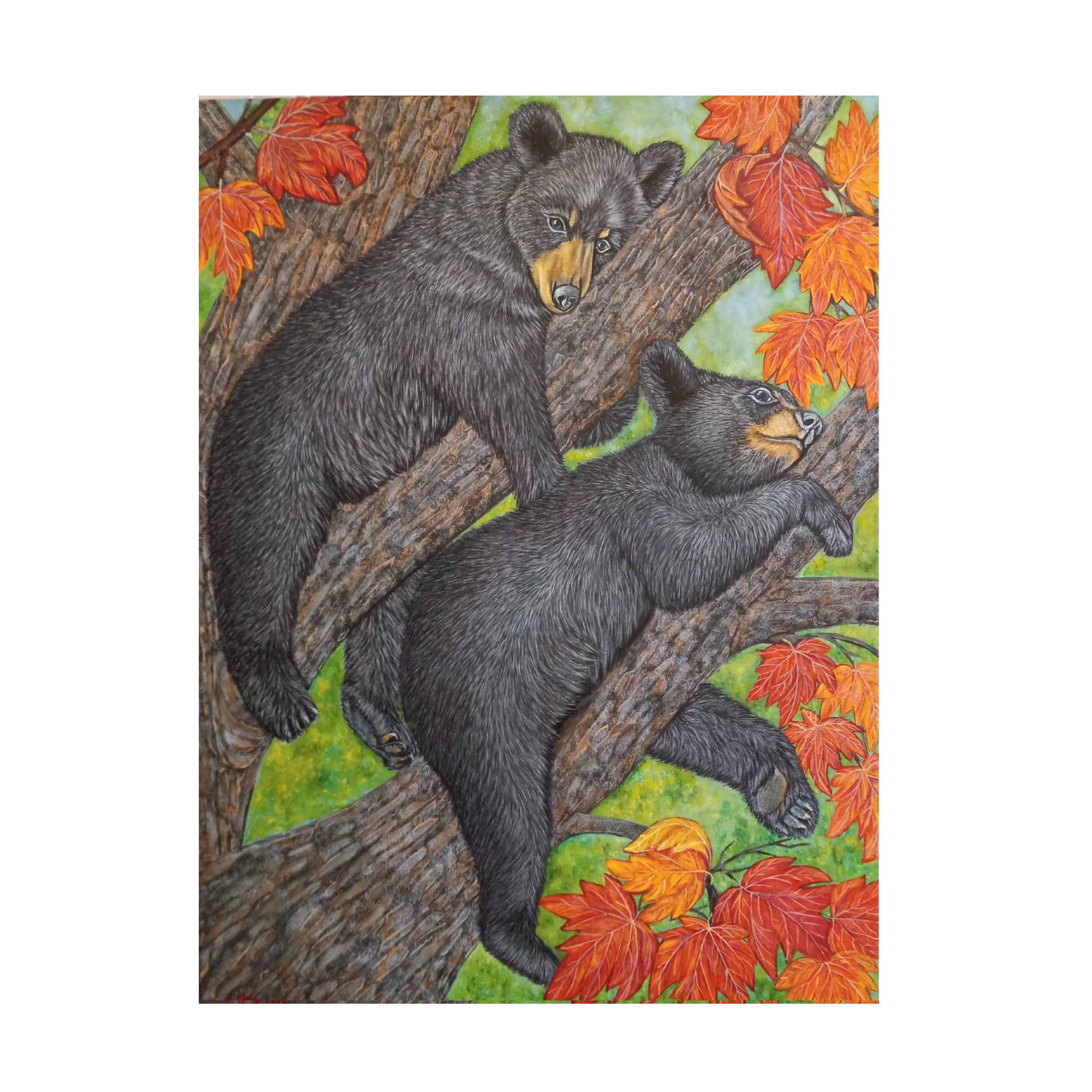 Canvas Wall Art - Sofya Mikeworth 'Black Bear Cubs on a Maple Tree 2' Wall Art for Living Room, Bedroom, or Office DÃ©cor by Trademark Fine Art - 18 x 24 Inches