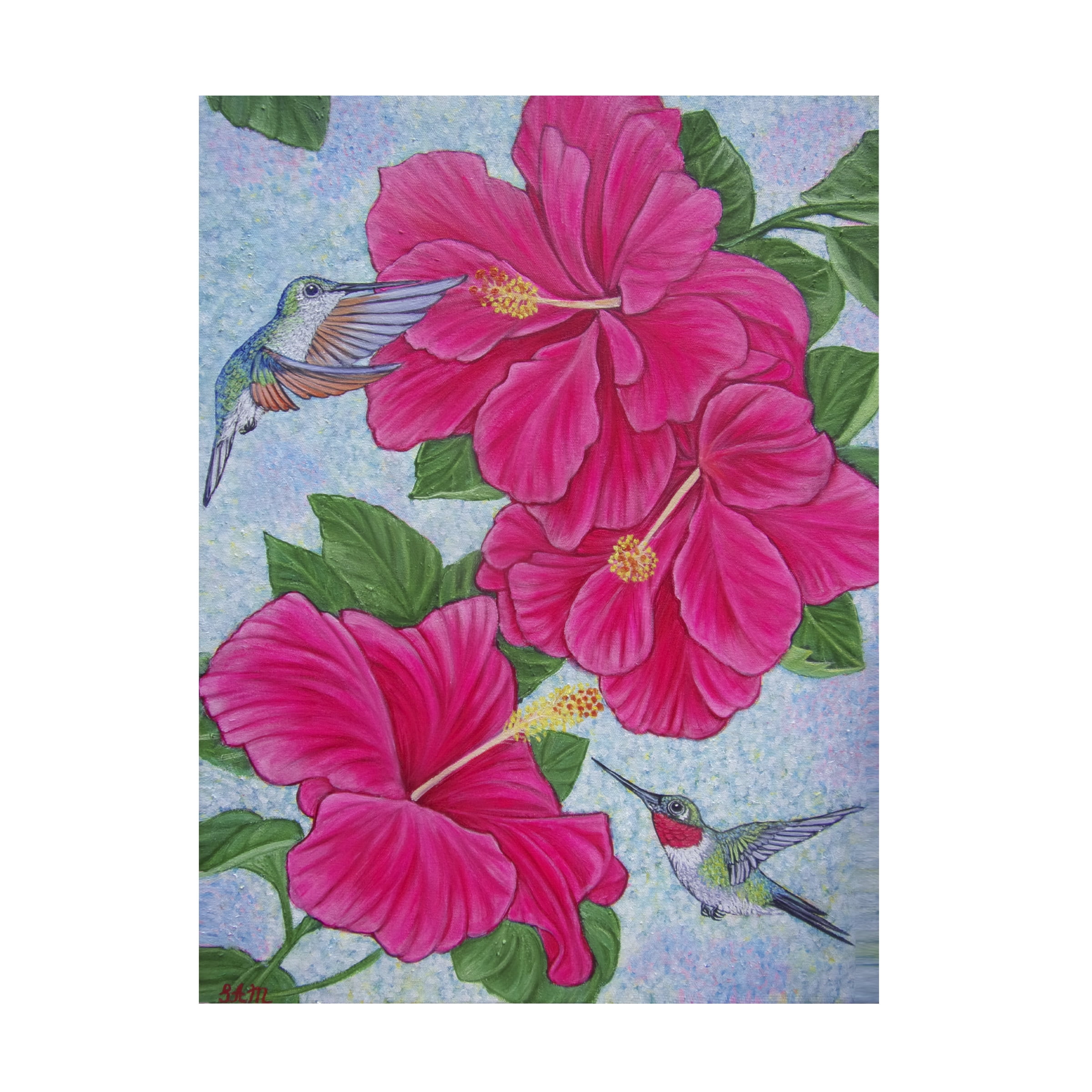 Canvas Wall Art - Sofya Mikeworth 'Hummingbirds and Hibiscus Flowers' Wall Art for Living Room, Bedroom, or Office DÃ©cor by Trademark Fine Art - 14 x 19 Inches