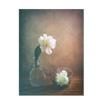 Canvas Wall Art - Sophie Pan 'Two Peonies' Wall Art for Living Room, Bedroom, or Office D?cor by Trademark Fine Art - 14 x 19 Inches