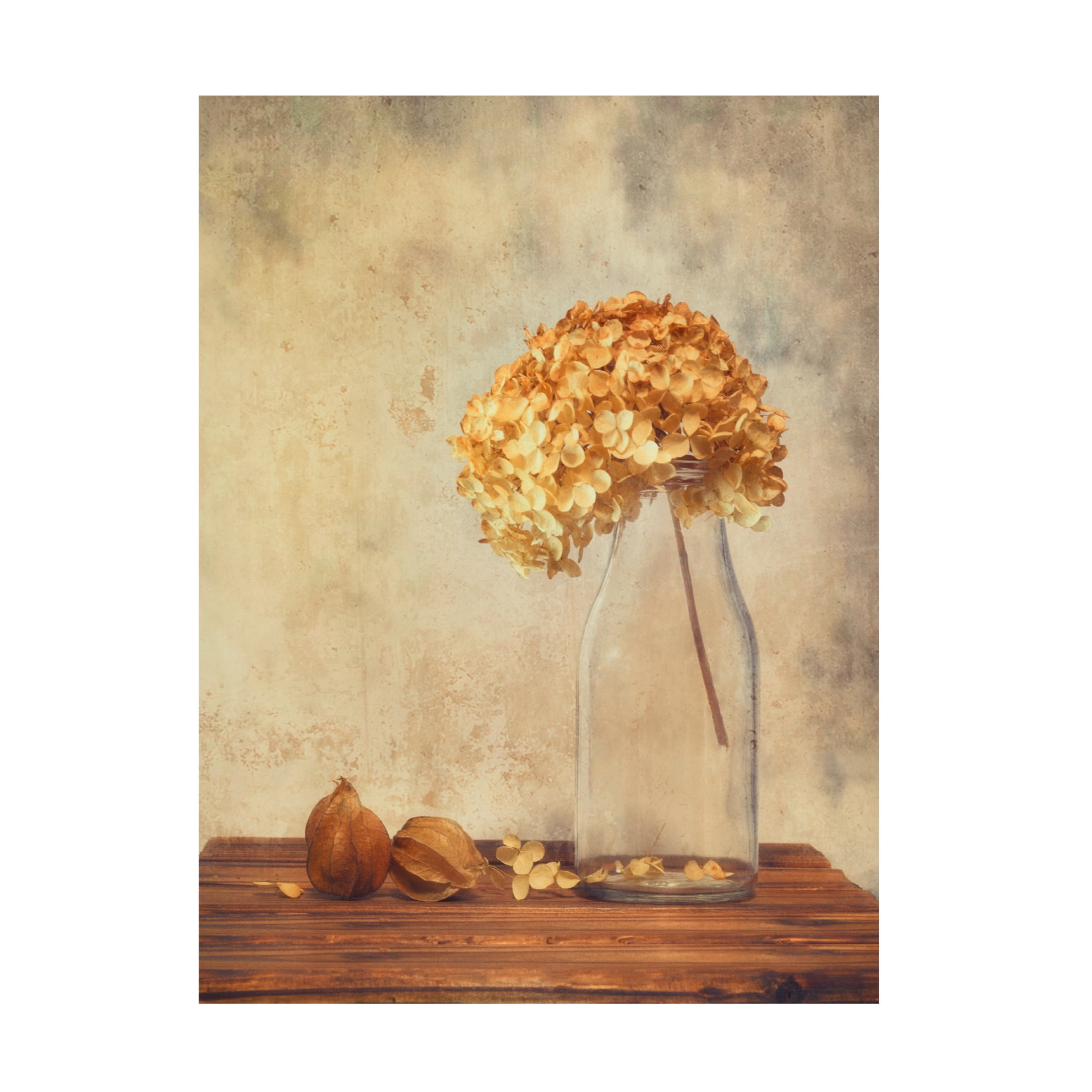 Canvas Wall Art - Sophie Pan 'Warm Glow' Wall Art for Living Room, Bedroom, or Office D?cor by Trademark Fine Art - 35 x 47 Inches