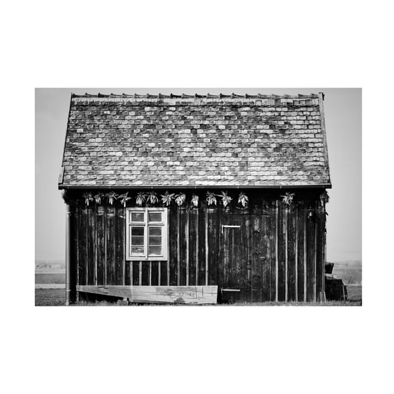 Canvas Wall Art - Steffen Ebert 'Old Shed' Wall Art for Living Room, Bedroom, or Office Décor by Trademark Fine Art - 19 x 12 Inches