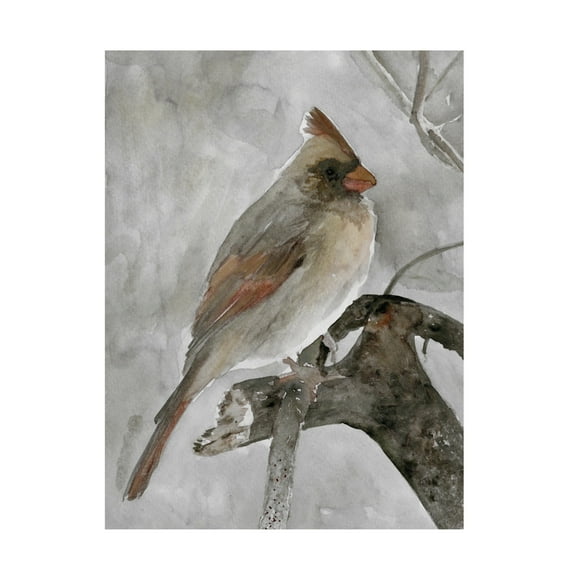 Canvas Wall Art - Stellar Design Studio 'Branched I' Wall Art for Living Room, Bedroom, or Office Décor by Trademark Fine Art - 14 x 19 Inches