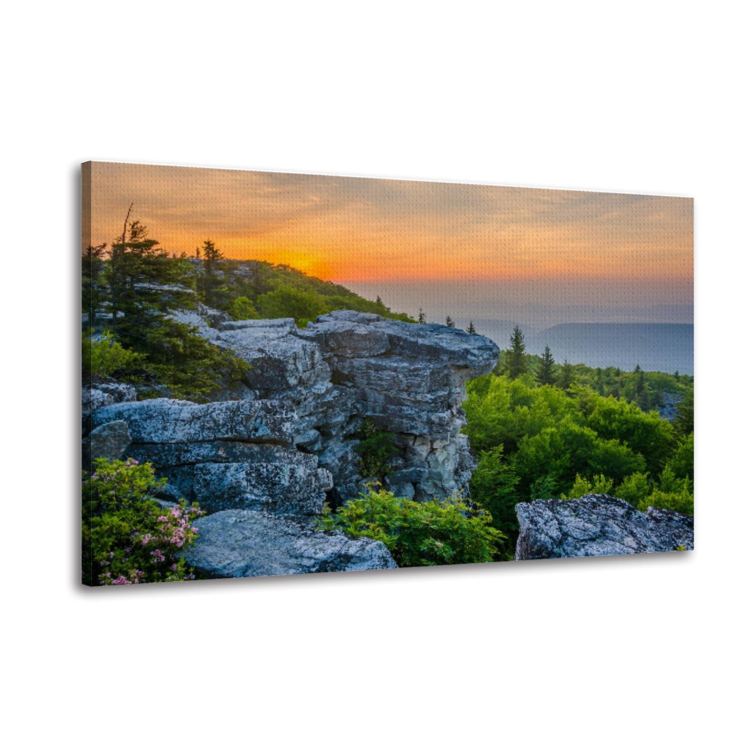 Canvas Wall Art Sunrise Bear Rocks Preserve Dolly Sods Wilderness ...