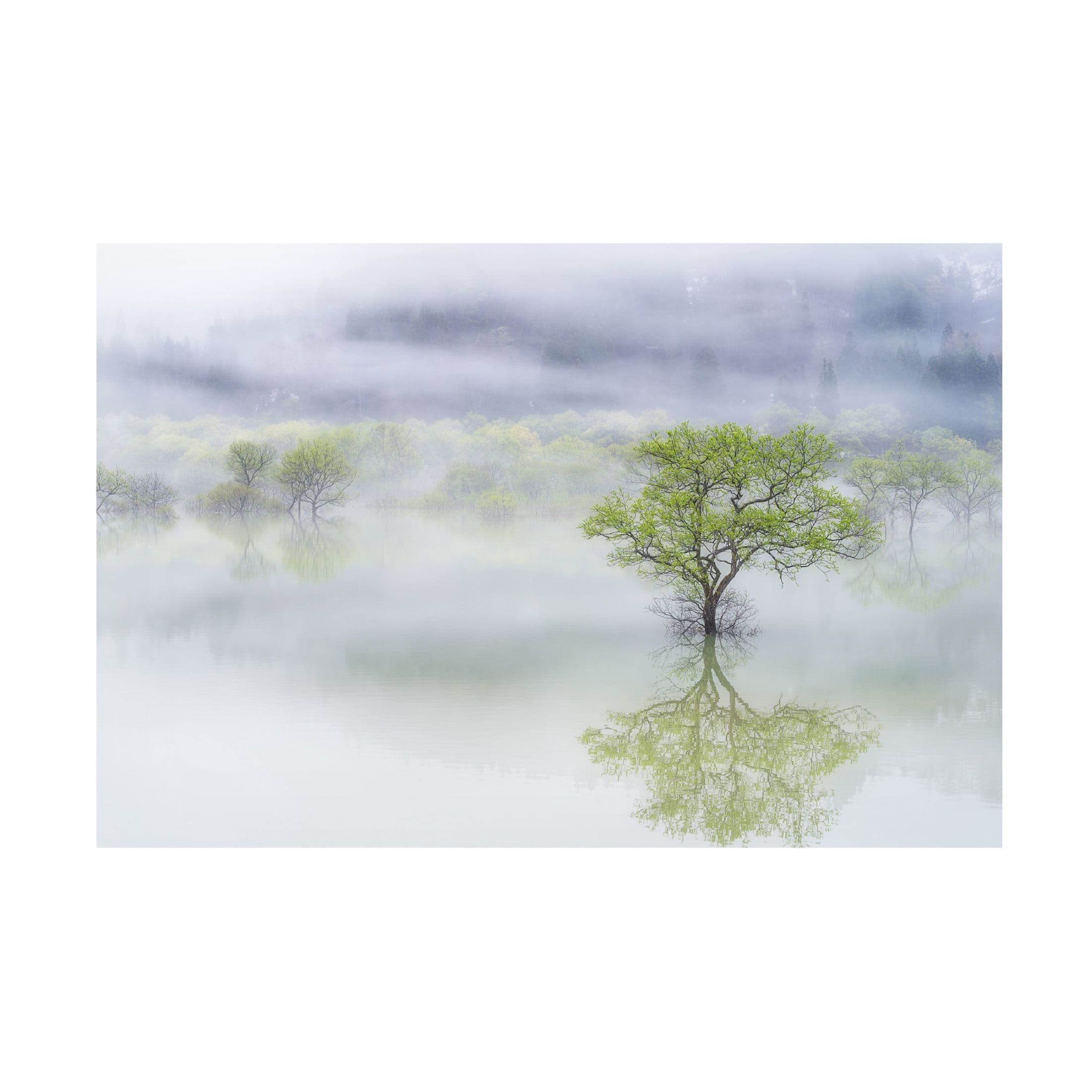 Canvas Wall Art - Suntararak Saowanee 'Dreamy Tree' Wall Art for Living Room, Bedroom, or Office Décor by Trademark Fine Art - 32 x 22 Inches