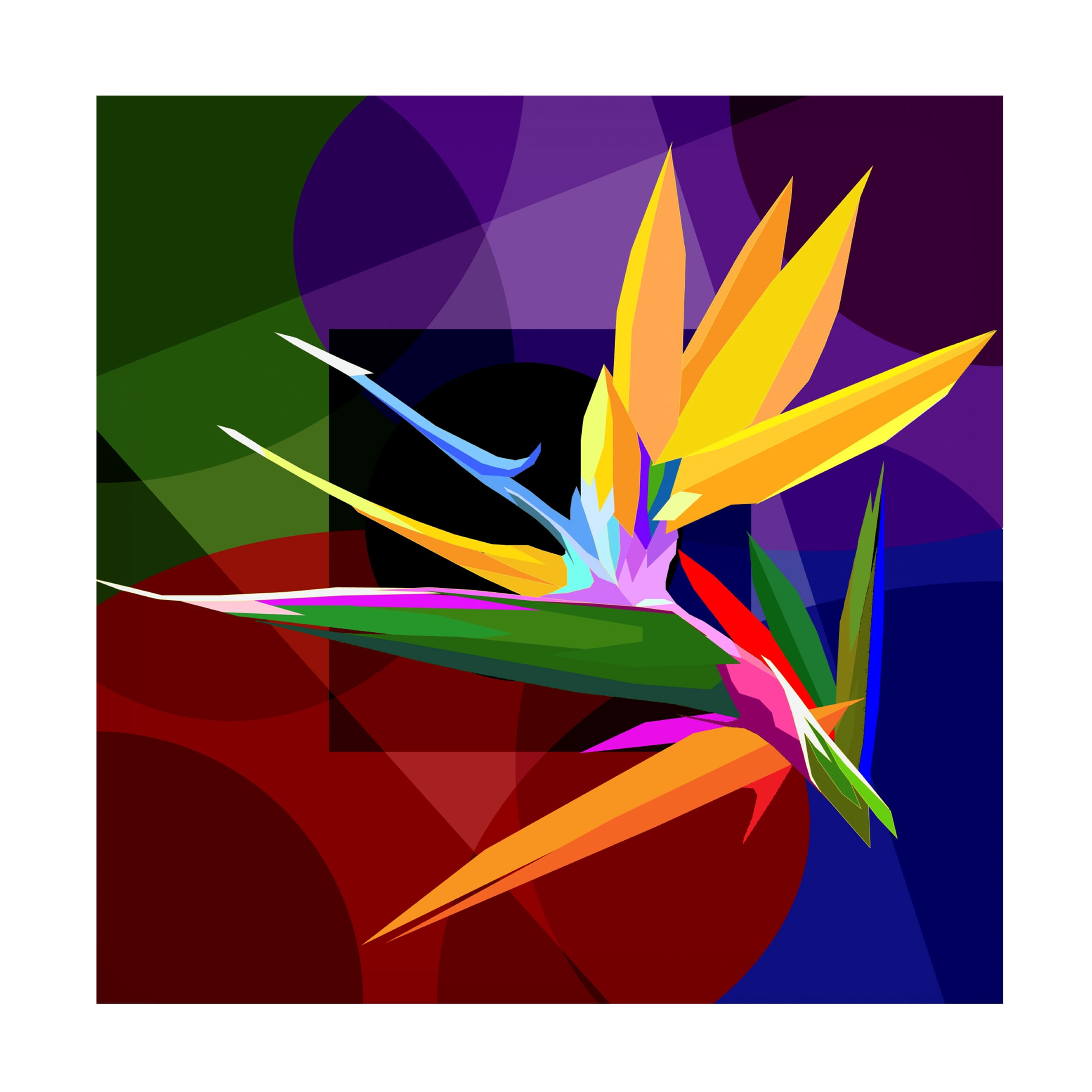 Canvas Wall Art - Surapol Pansanit 'Bird Of Paradise 1' Wall Art for Living Room, Bedroom, or Office DÃ©cor by Trademark Fine Art - 14 x 14 Inches
