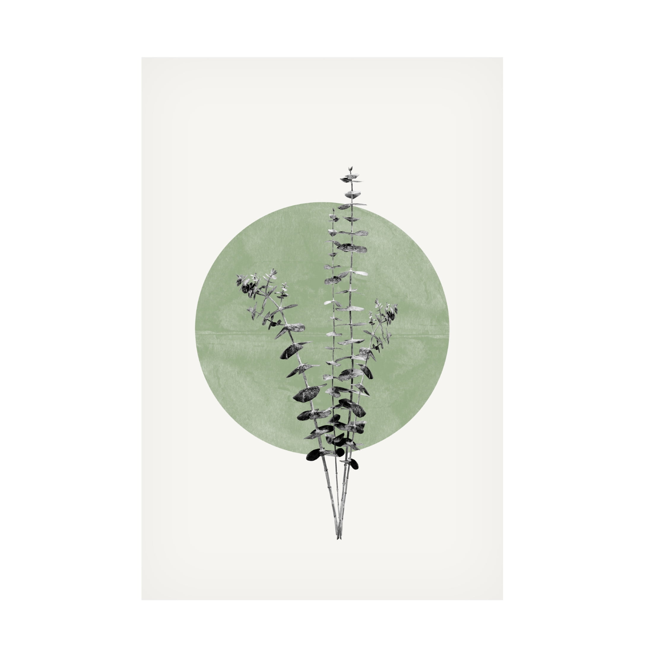 Canvas Wall Art - THE MIUUS STUDIO 'Eucalyptus and Green Moon' Wall Art for Living Room, Bedroom, or Office Décor by Trademark Fine Art - 22 x 32 Inches