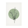 thumbnail image 1 of Canvas Wall Art - THE MIUUS STUDIO 'Eucalyptus and Green Moon' Wall Art for Living Room, Bedroom, or Office Décor by Trademark Fine Art - 30 x 47 Inches, 1 of 5