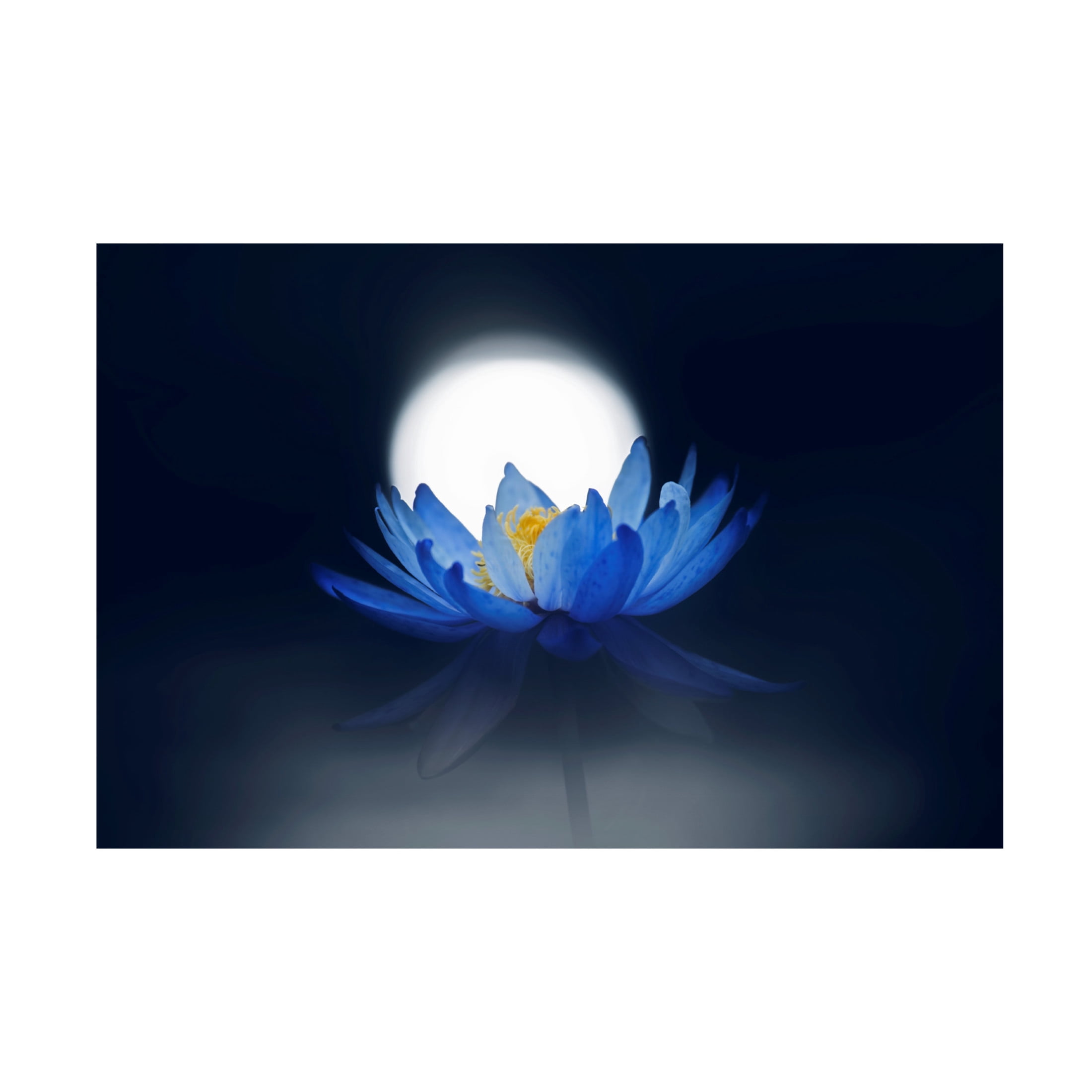 Canvas Wall Art - Takashi Suzuki 'Fleeting Dream' Wall Art for Living Room, Bedroom, or Office Décor by Trademark Fine Art - 24 x 16 Inches